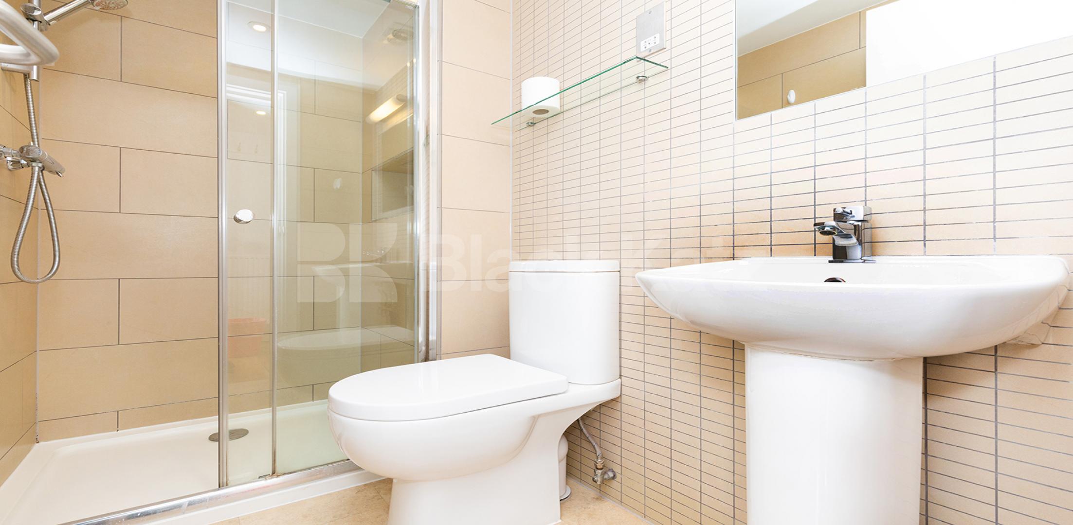 			ZONE 1 LOCATION, Studio Apartment, 1 bath, 1 reception Studio			 BYNG PLACE WC1E, RUSSELL SQUARE - EUSTON - FITZROVIA 